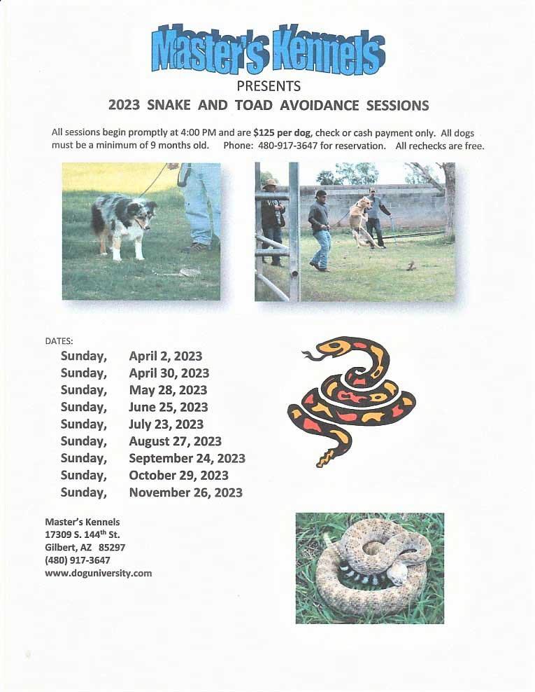 Masters Kennels Snake and Toad Avoidance Sessions 2023