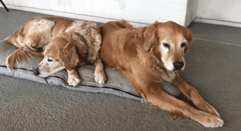 jackandzoesm3img 5822