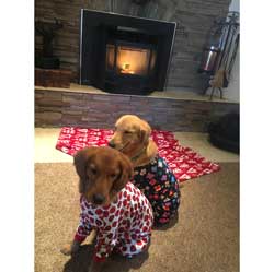 Gracie Josie PJs IMG 6377