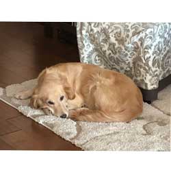 bebe now maddie image0