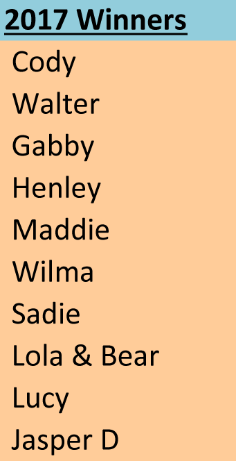 Cutest Golden Contest Winners 2017