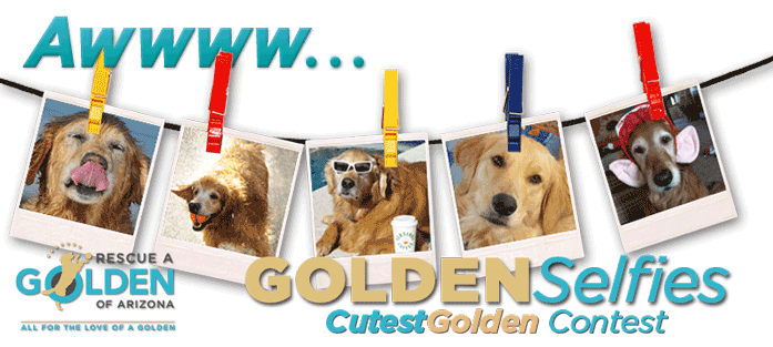 CGC Masthead 2015 2023 697x313