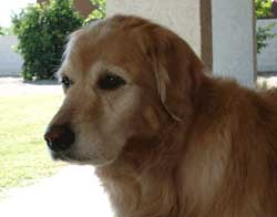 sadie nov cropped 1 rev