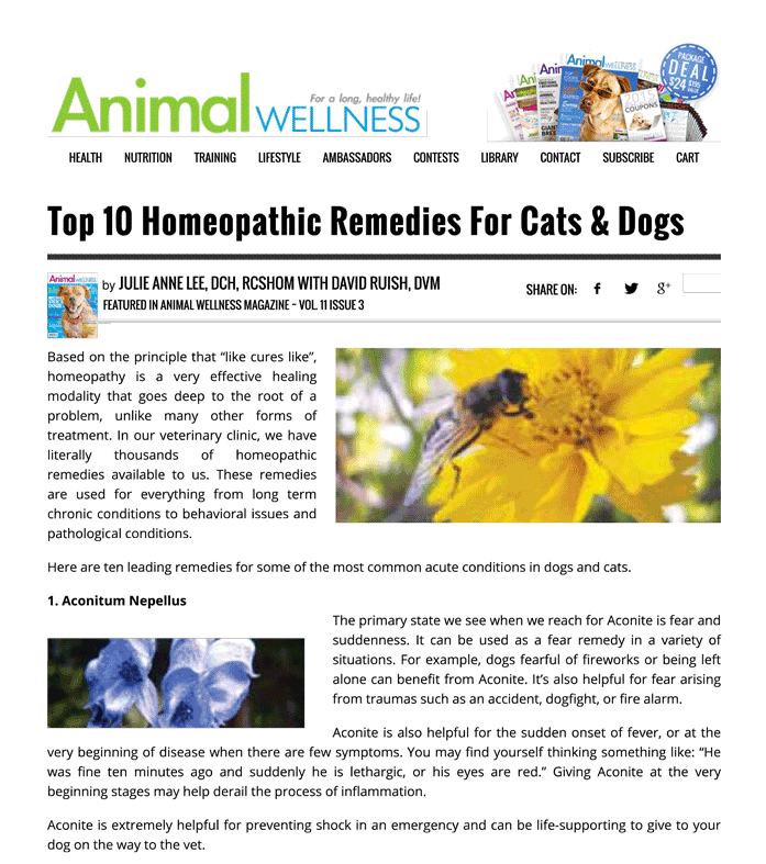 Top 10 Homeopathic Remedies For Cats Dogs Animal Wellness Magazine 1