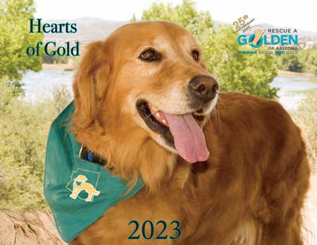 Calendar cover with lucy