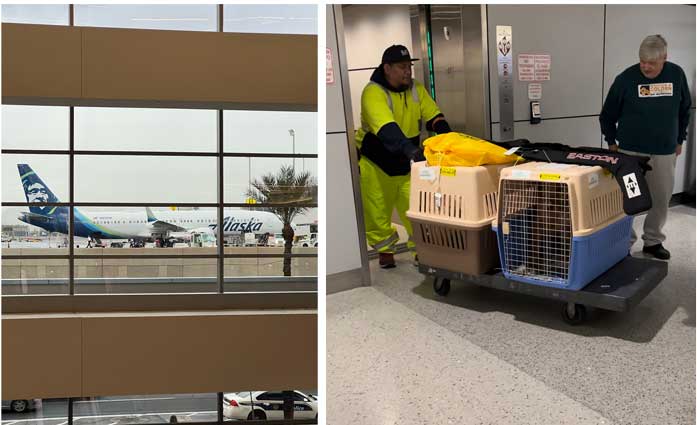 Alaska Airlines plane and crates arriving