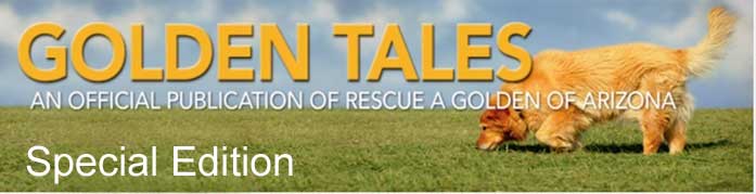 golden tales masthead special edition