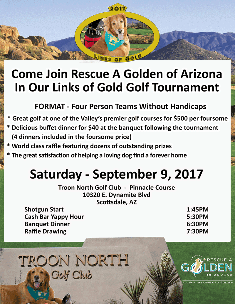 log 2017 final flier 3 18 17