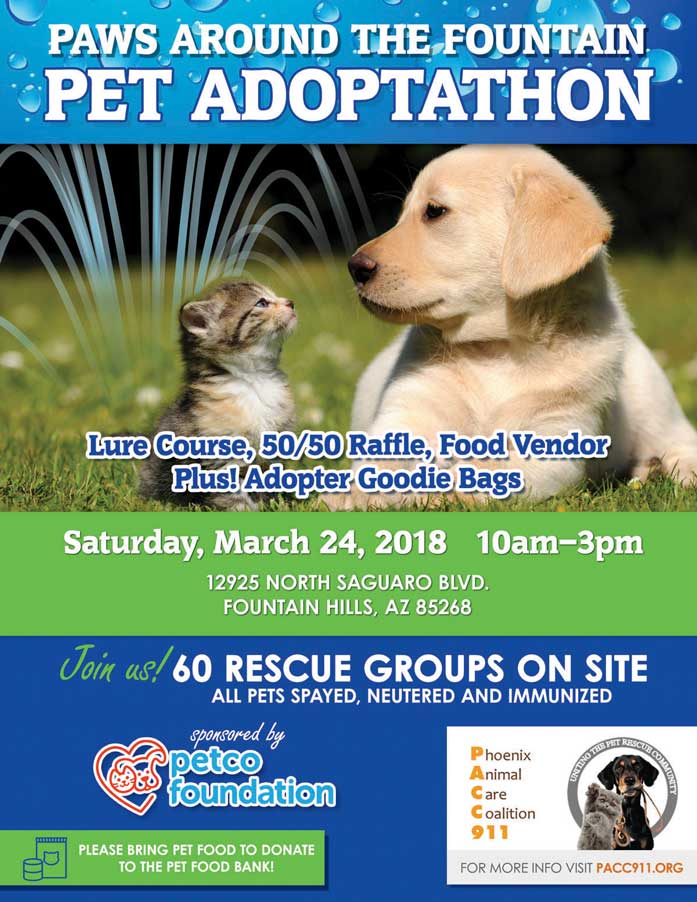 pacc911 fountain march 24 2018 697