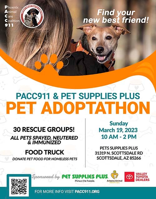 PACC911 23 march per supplies plus CYBER 500