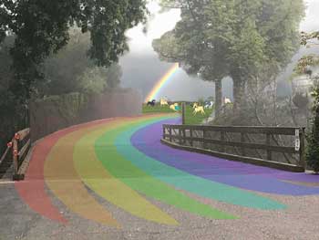 rainbow path going over bridge