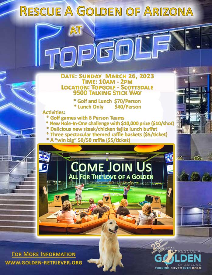 Topgolf Event Flyer 