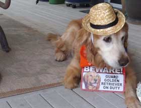 01 January Shiloh 280