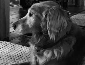 08 August Barkley 280