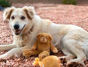 09 September Abby 280