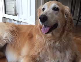 11 November Isabella 280