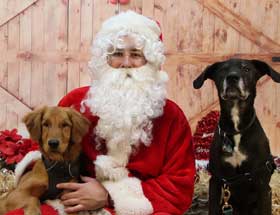 12 December Ripley 280