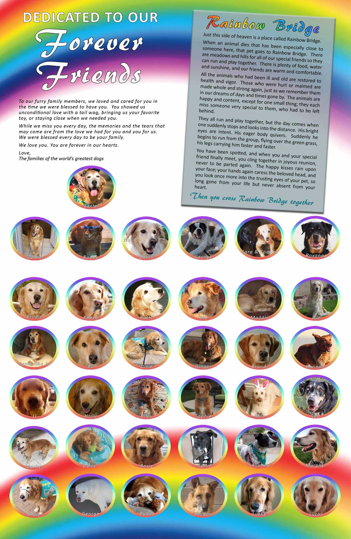 Bridge Dogs Page 2021