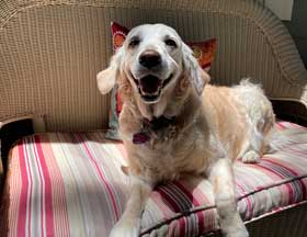 14 Second Oldest Tinkerbelle