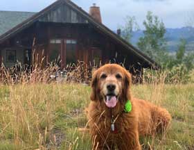 Lola cabin Large Final