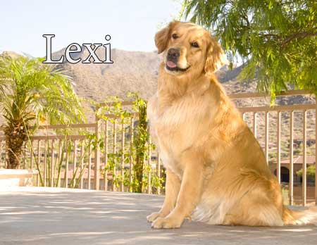 LEXI_5625_Large_Final.jpg