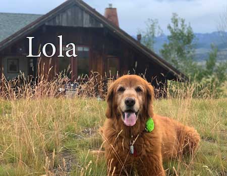 Lola-cabin_Large_Final.jpg