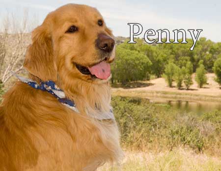 November_Penny5864_Main.jpg