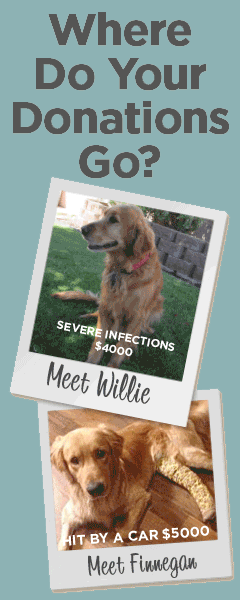 Donations Poster vertical turq