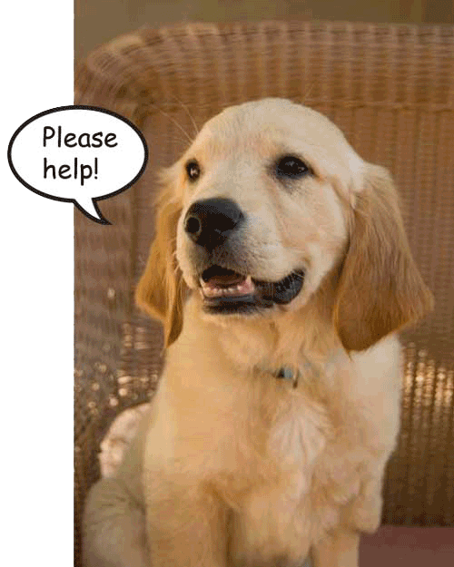 Gus 14 059 please help