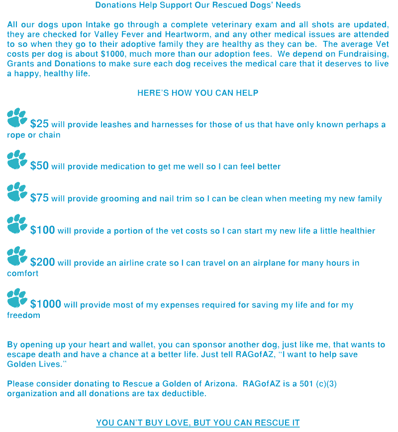 Foreign dog donations 7