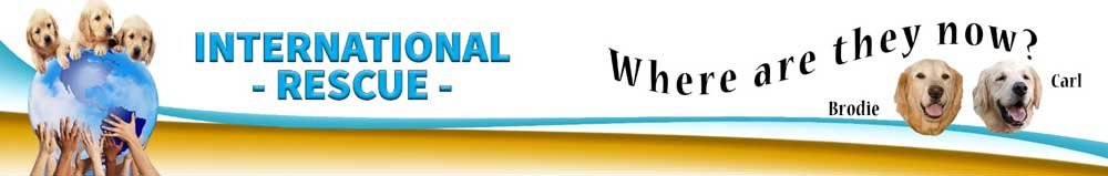 International banner Brodie Carl