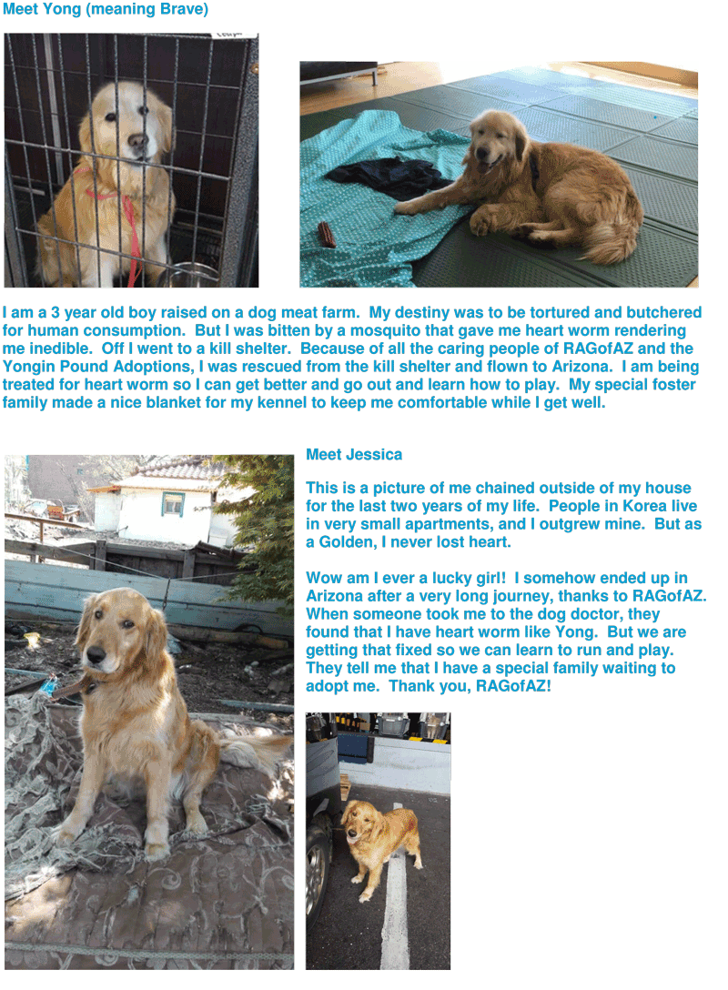 International Website Notice 2c 2