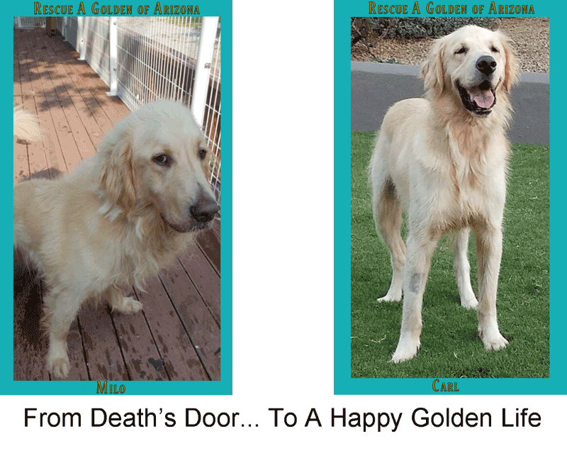 Milo before Carl after