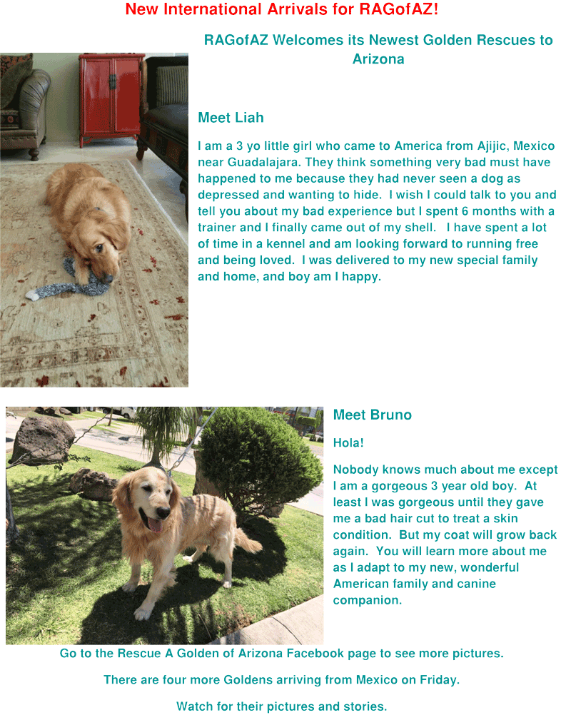 New International Arrivals for RAGofAZ1