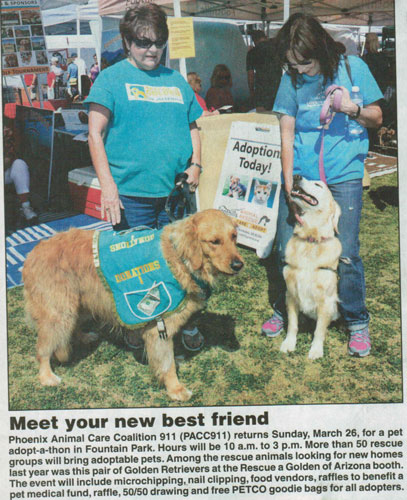 Paws around the fountain