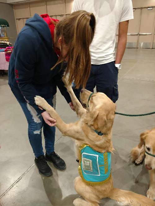 IMG 20180106 151758935 resized