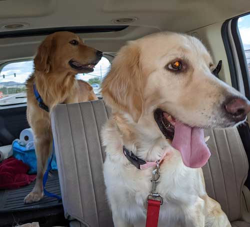 Sasha and Milo proud parents