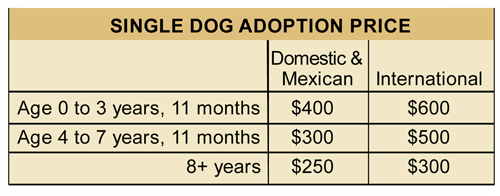 Single Dog Adoption Price