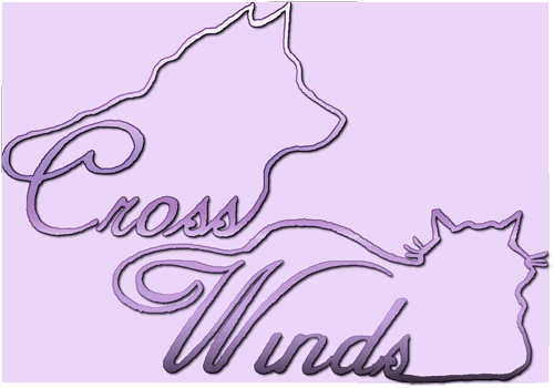 Cross Winds Logo Purple