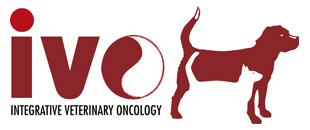 IVO Logo 1