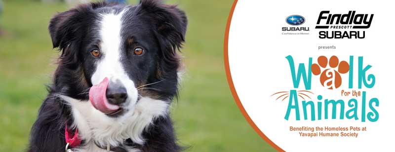 Walk for the Animals