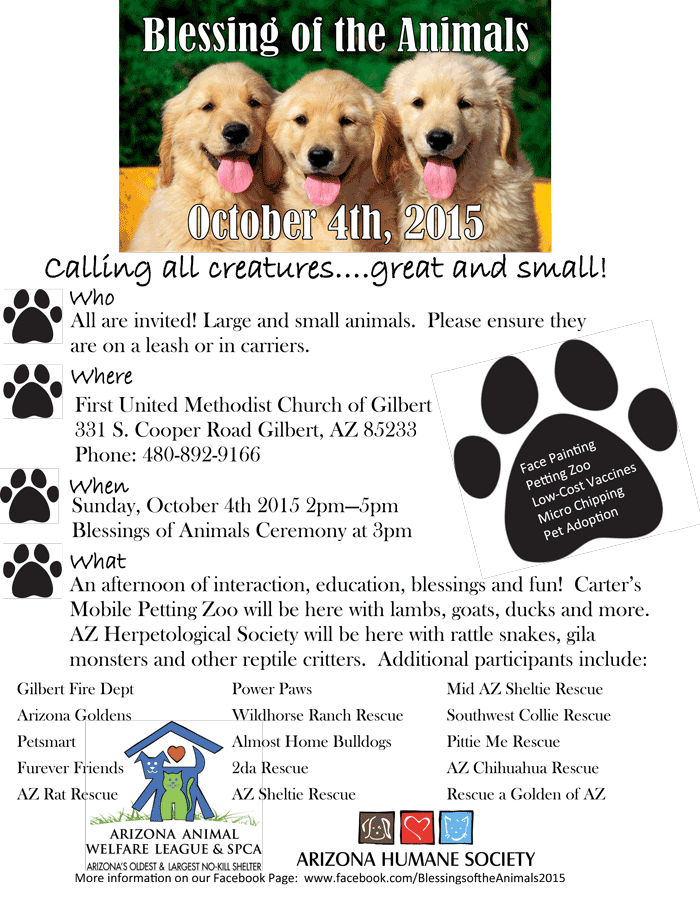 blessing of the animals flyer