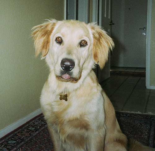 Cooper 2007 09 10 2008 04 08