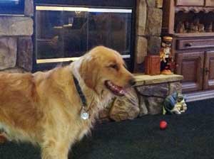 Harley Swarsbrook memorial