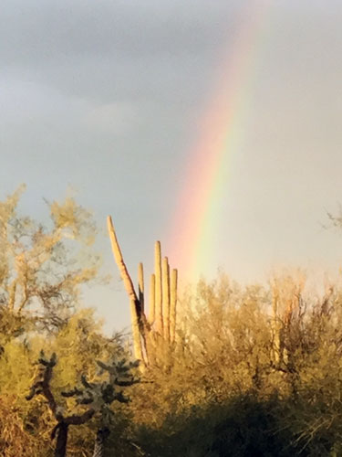 Lambeau rainbow IMG 0429