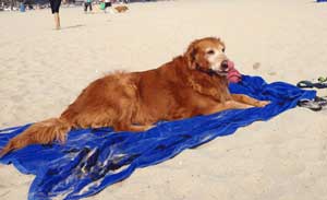 Macee Bartek IMG 0013