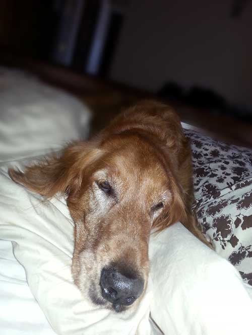 Moxie Schaffer 2013-06-04 06.51.38 resized