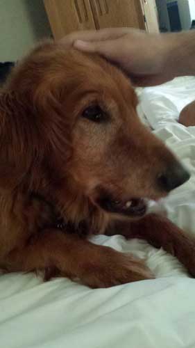 Moxie Schaffer 2014-06-14 06.48.12 resized