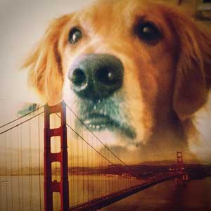 RileyAndersonIMG 2065