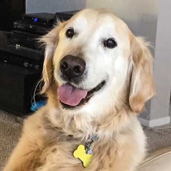 Scooter smile for memorial page